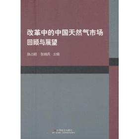 改革中的中国天然气市场：回顾与展望