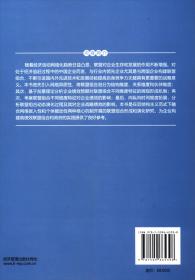 联盟组合的行成机制与绩效影像研究