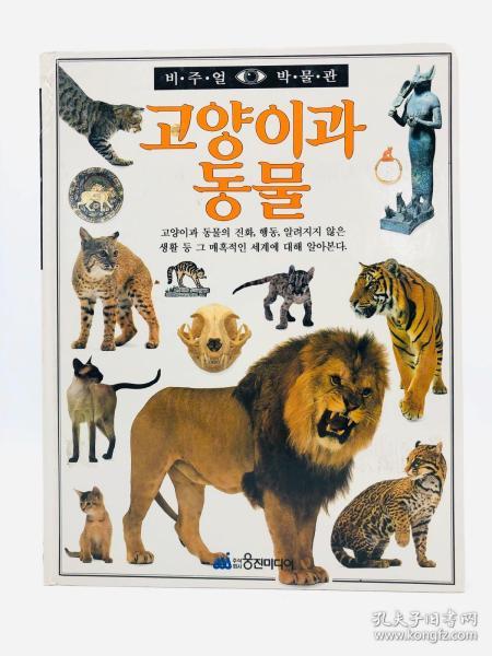 비주얼 박물관: 고양이과 동물 韩文原版《视觉博物馆：猫科动物》