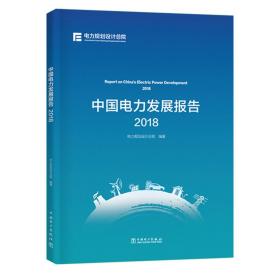 中国电力发展报告2018