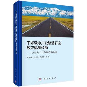 千米级冰川公路泥石流致灾机制诊断——以天山G217独库公路为例