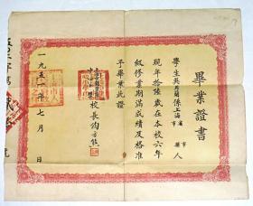 1951年上海市龙华区中心小学毕业证书