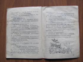 1988年  第7、10期   《故事园》  （少年月刊）