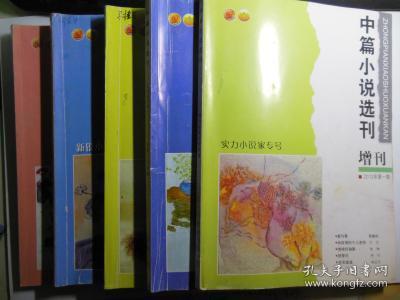 中篇小说选刊2013年1.3,5,6增刊1五本合售