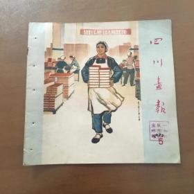 四川画报（1973年5期）书品如图馆藏