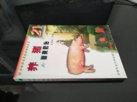 养猪与猪病防治