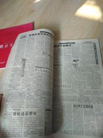 民族医药报合订本