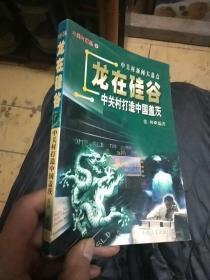 中关村新闻大盘点
龙在硅谷
中关村打造中国盖茨