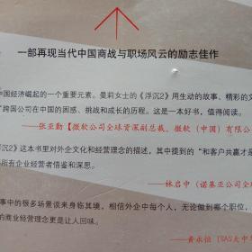 浮沉2：微软全球副总裁张亚勤鼎力推荐