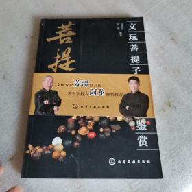 文玩菩提子把玩与鉴赏