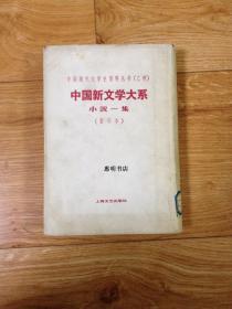 中国现代文学史资料丛书(乙种)--中国新文学大系-小说一集(影印本)[大32开 竖版繁体 馆藏书].