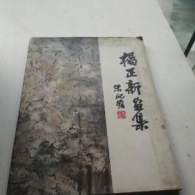 杨正新画集