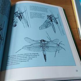 The Nature History of Insects       c