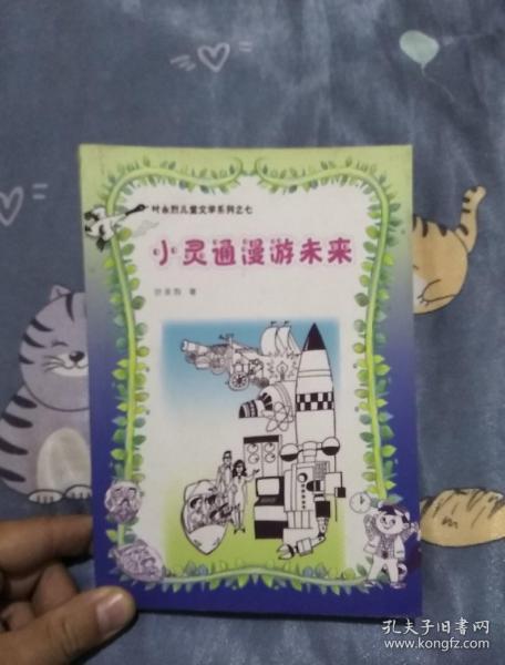 小灵通漫游未来