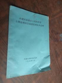 内蒙古河套灌区土地利用及土壤盐碱动态遥感监测技术总结