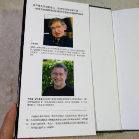 大设计