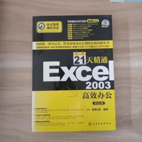 办公高手成长日记：21天精通Excel 2003高效办公