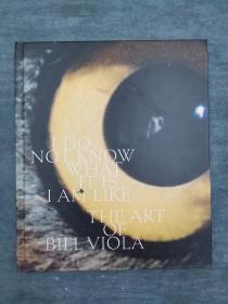 I Do Not Know What It Is I Am Like: The Art of Bill Viola