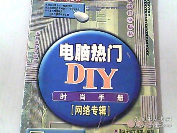 电脑热门DIY时尚手册：网络专辑