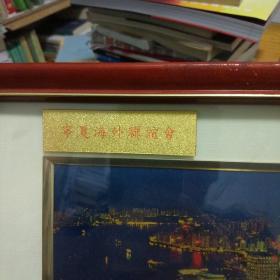 纪念品 纯足金制作画 宁夏海外联谊会 中国青少年历史文化教育基金赠送