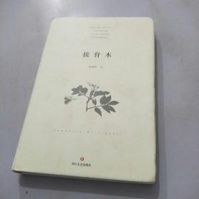 接骨木
