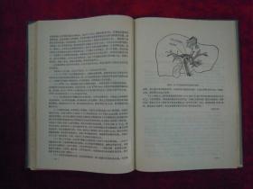 腹部外科诊疗借鉴(印量8011册)(一版一印)