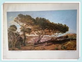 法国十九世纪农村风景画：爱克斯昂普罗旺斯原野的松树（8开1张）