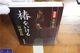 决定版 茶席之花 茶花百种百样 约16开 263页 品好包邮