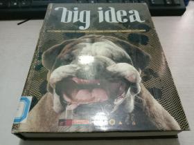 外版设计 Big Idea 大创意