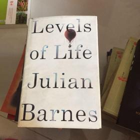 levels of life julian Barnes