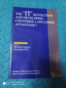 THE IT REVOLUTION AND DEVELOPING COUNTRIES:LATE-COMER ADVANTAGE