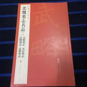 中国碑帖名品·北魏墓志名品（2）（元桢墓志、元倪墓志、元诠墓志、元纂墓志）