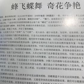 中国兰叶艺探索