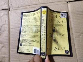 JOHN IRVING A WIDOW FOR ONE  YEAR