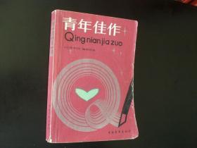 青年佳作  《小说季刊》编辑部编   中国青年出版社出版    八五品