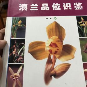 滇兰品位识鉴