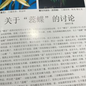 中国兰叶艺探索
