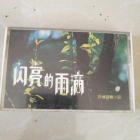 闪亮的雨滴，磁带。