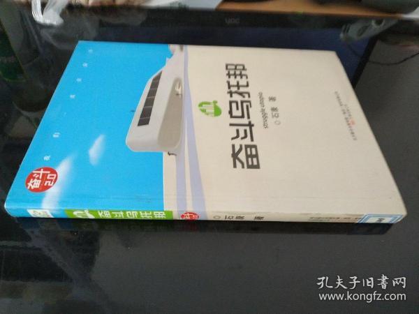 奋斗乌托邦