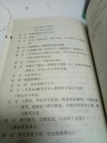 虞美人