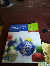 Organisational Behaviour 平装  , Timothy A.