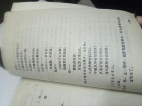虞美人