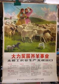 宣传画 大力发展养羊事业 支援工农业生产 支援出口  2开
