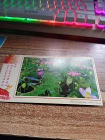 中国邮政信封 7