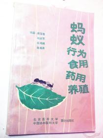 蚂蚁行为食用药用养殖