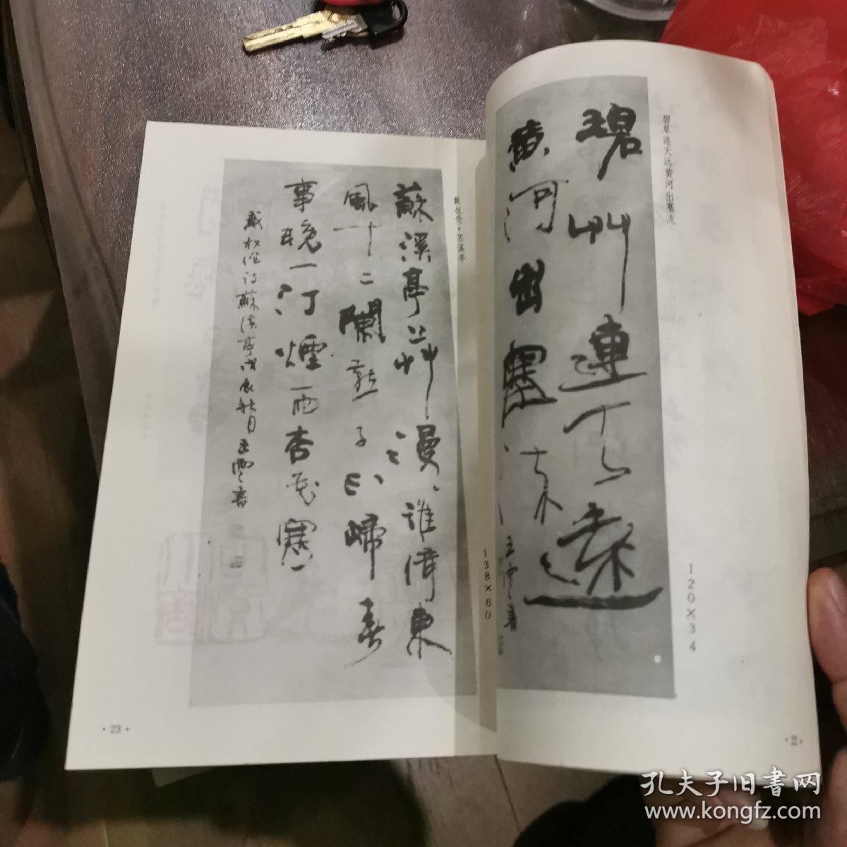 王云书法篆刻选(作者签赠本)