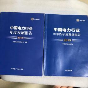 《中国电力行业可靠性年度发展报告2019》《2019中国电力行业年度发展报告》两本合售