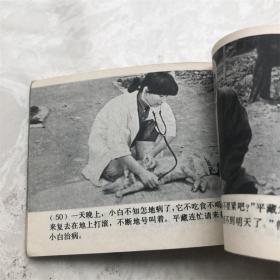 小人书连环画漫画80年代猎人