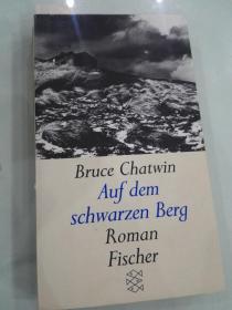 Auf dem schwarzen Berg （ROMAN）