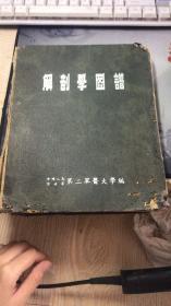 解剖学图谱